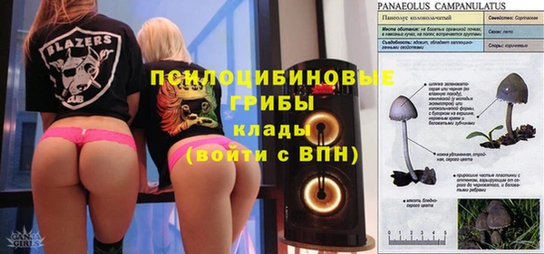 бутират Переславль-Залесский