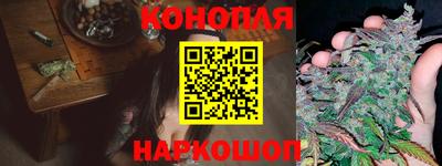 крисы Беслан