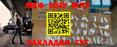 мяу мяу мука Гусев