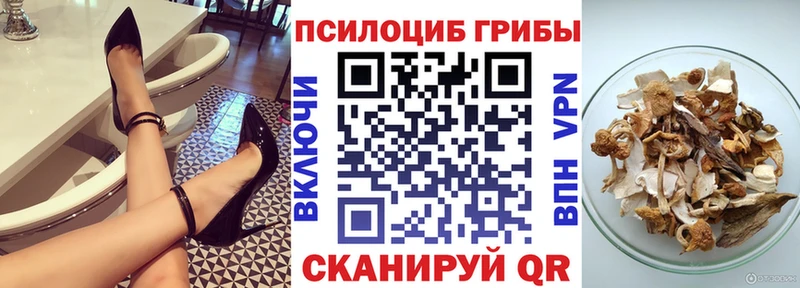 где продают наркотики  Ипатово  Псилоцибиновые грибы Cubensis 