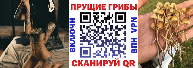 Галлюциногенные грибы ЛСД Ипатово