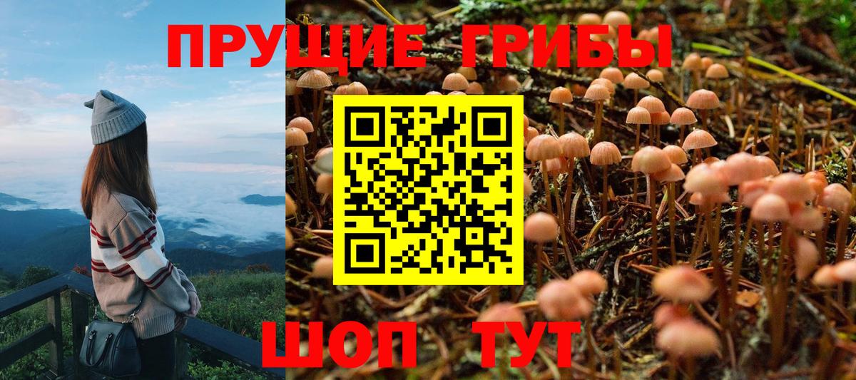 Галлюциногенные грибы MAGIC MUSHROOMS Ипатово