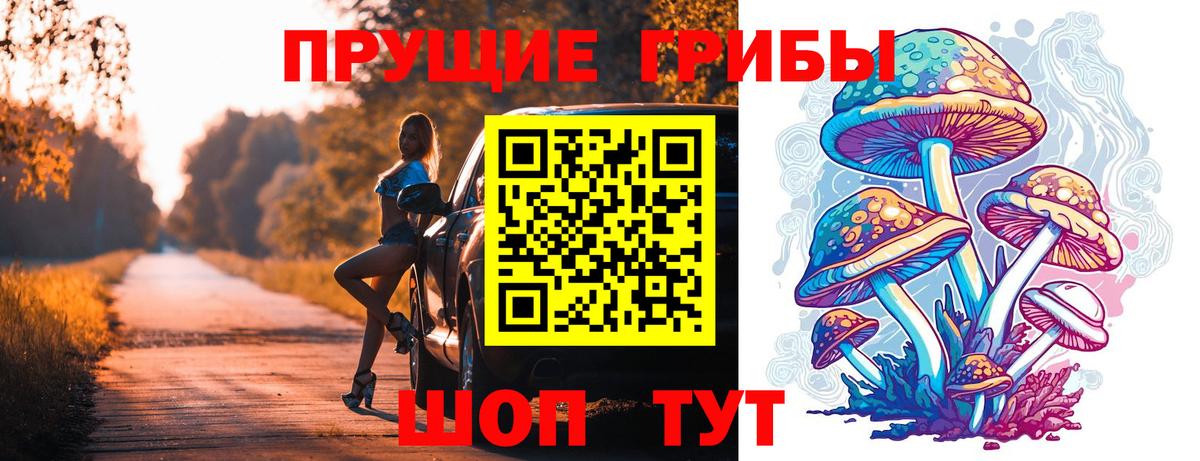 Галлюциногенные грибы Psilocybe  Ипатово  Галлюциногенные грибы Psilocybe 