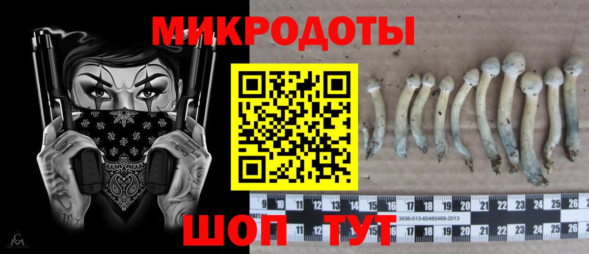 Ипатово  Галлюциногенные грибы Psilocybe  Вход с VPN 