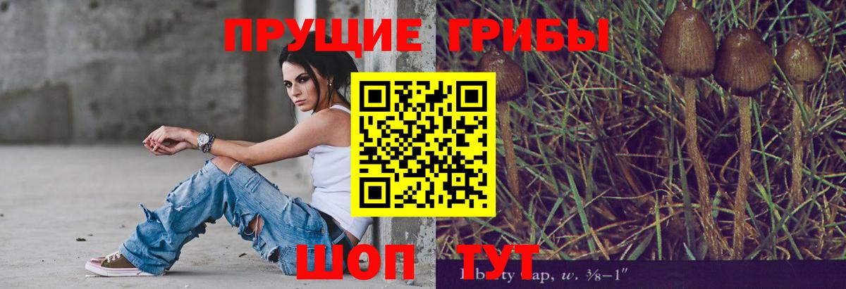 Псилоцибиновые грибы прущие грибы Ипатово